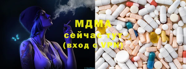 гидра Богородицк