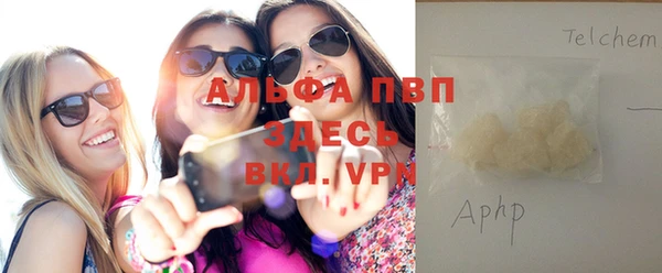 гидра Богородицк