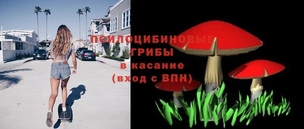 гидра Богородицк
