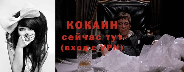 гидра Богородицк