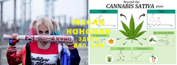 гидра Богородицк