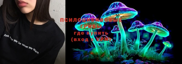 гидра Богородицк