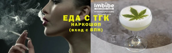 гидра Богородицк