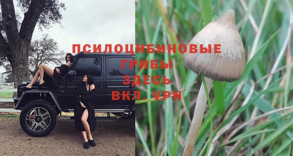 гидра Богородицк