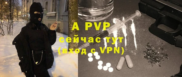 гидра Богородицк