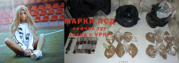 гидра Богородицк