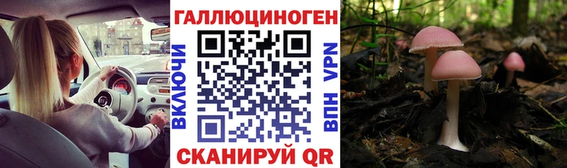 Галлюциногенные грибы Psilocybine cubensis  OMG рабочий сайт  Нахабино 